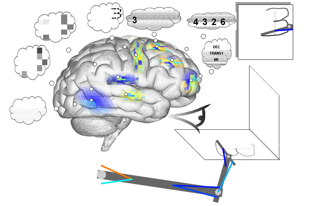 Controller arm for world’s largest functional brain model built using MapleSim